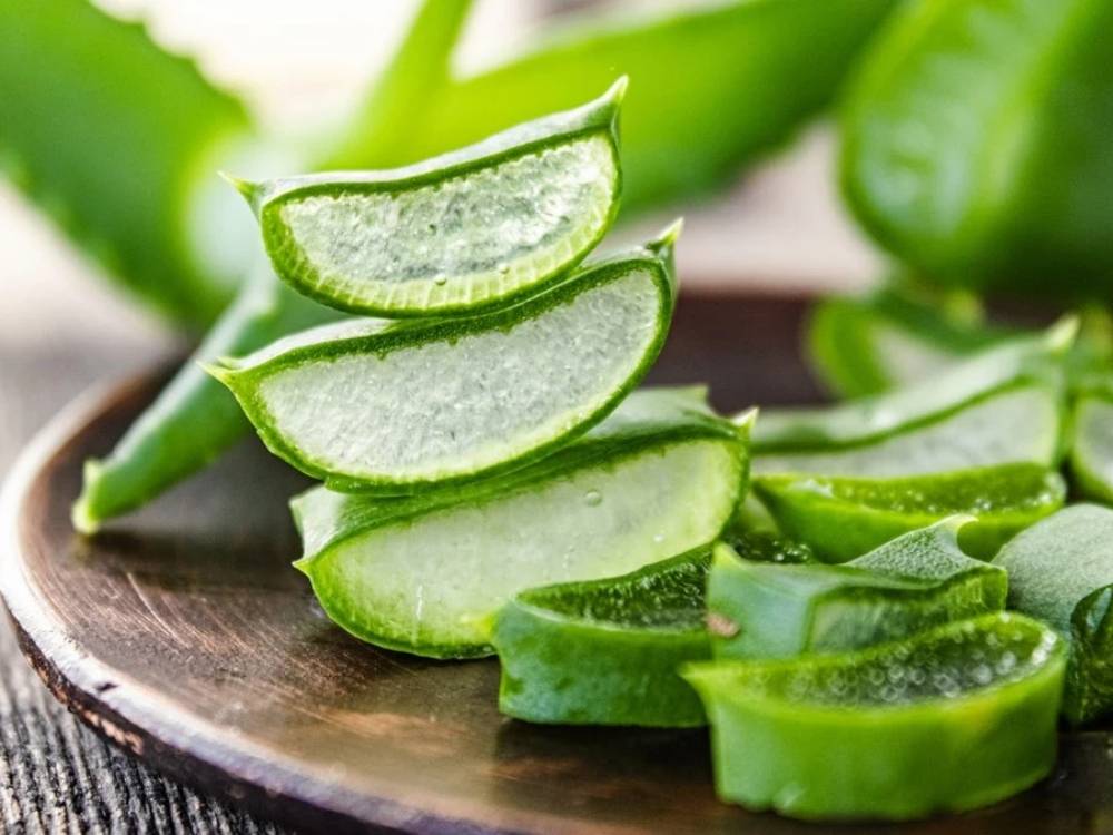 Nha đam có vô vàn công dụng