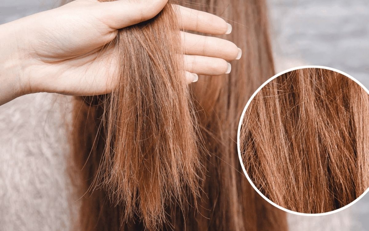 Nhuộm tóc nhiều khiến tóc trở nên hư tổn