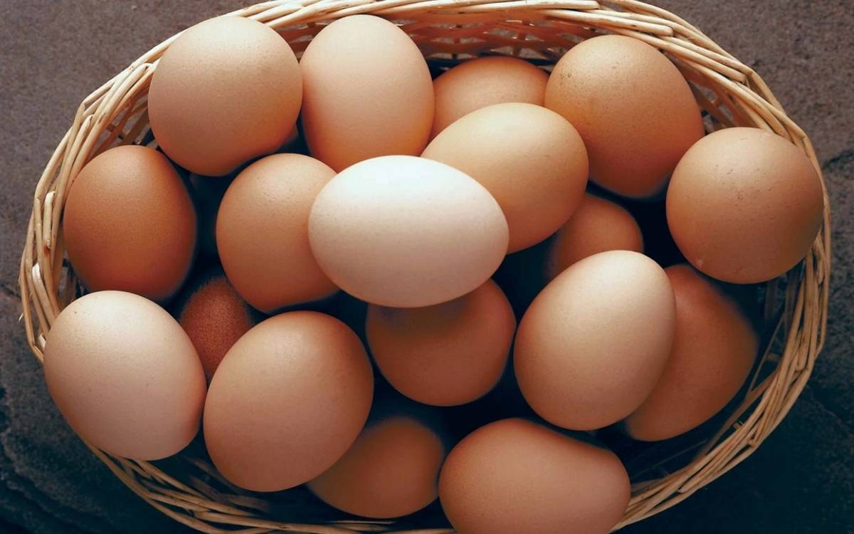 Trứng là loại thực phẩm cực kỳ phổ biến ở bất cứ đâu